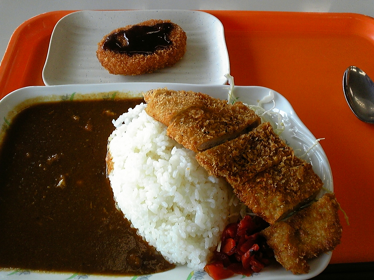 国立国会図書館の食堂 永田町 自転車で 東京の中心で豚カツへの愛を叫ぶ ｇｏ